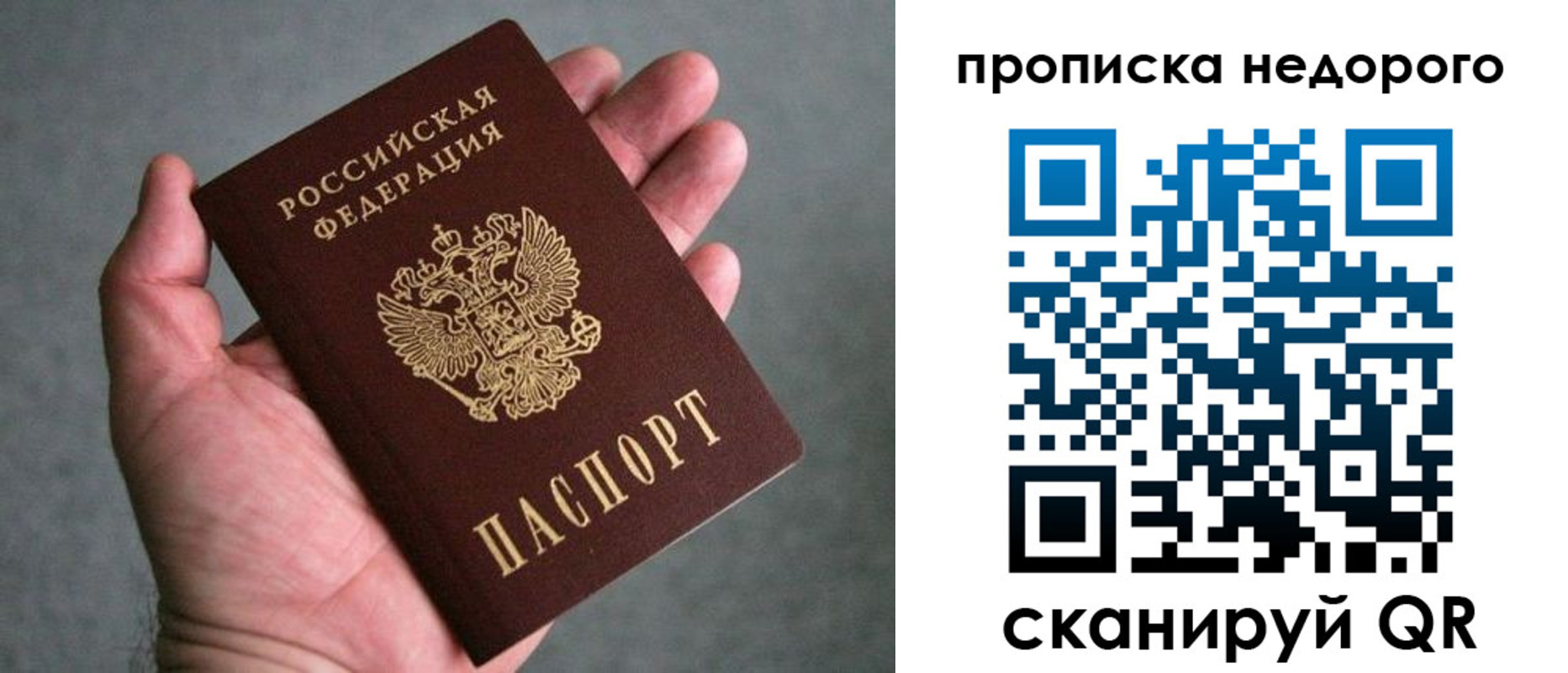 прописка поиск в Никольском